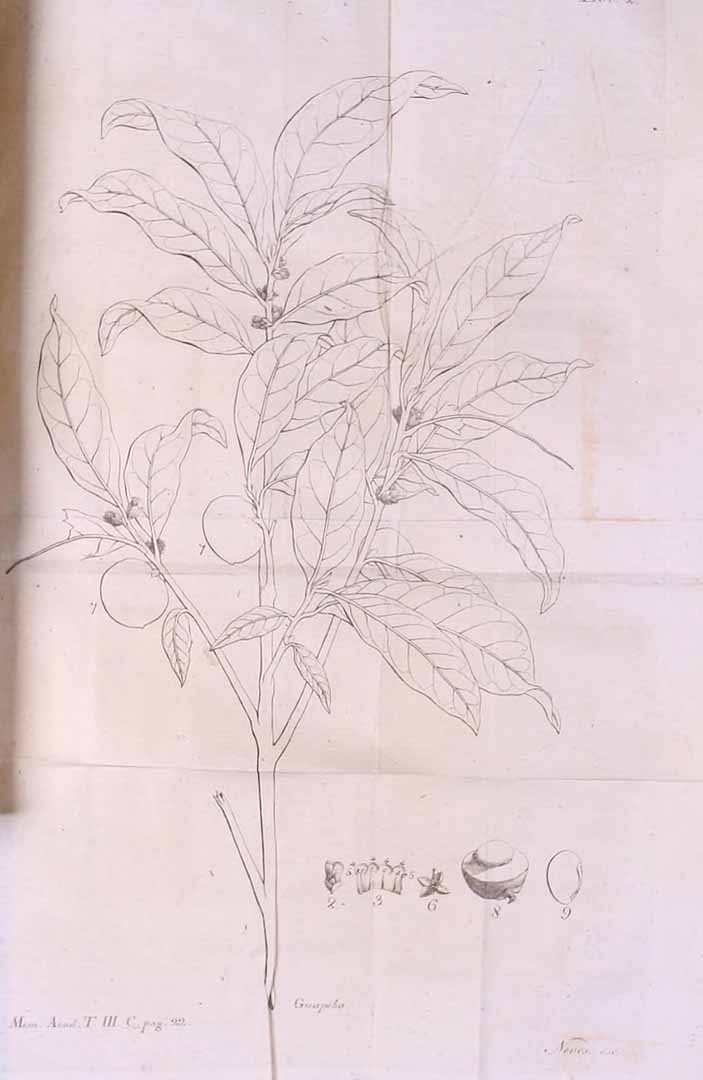 no HD illustration available (3)