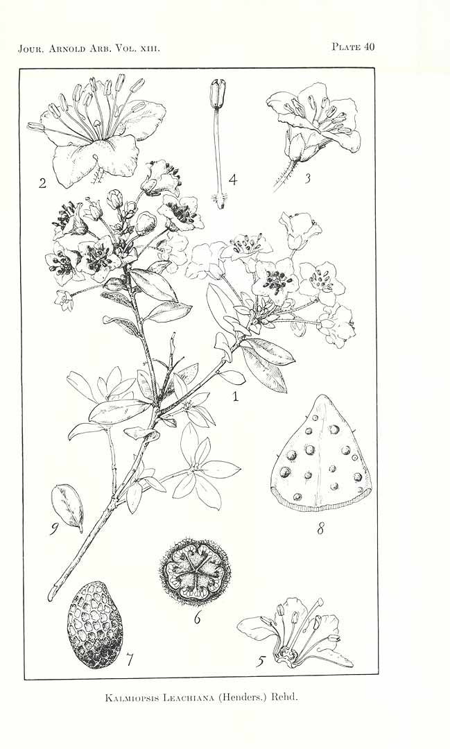 no HD illustration available (3)