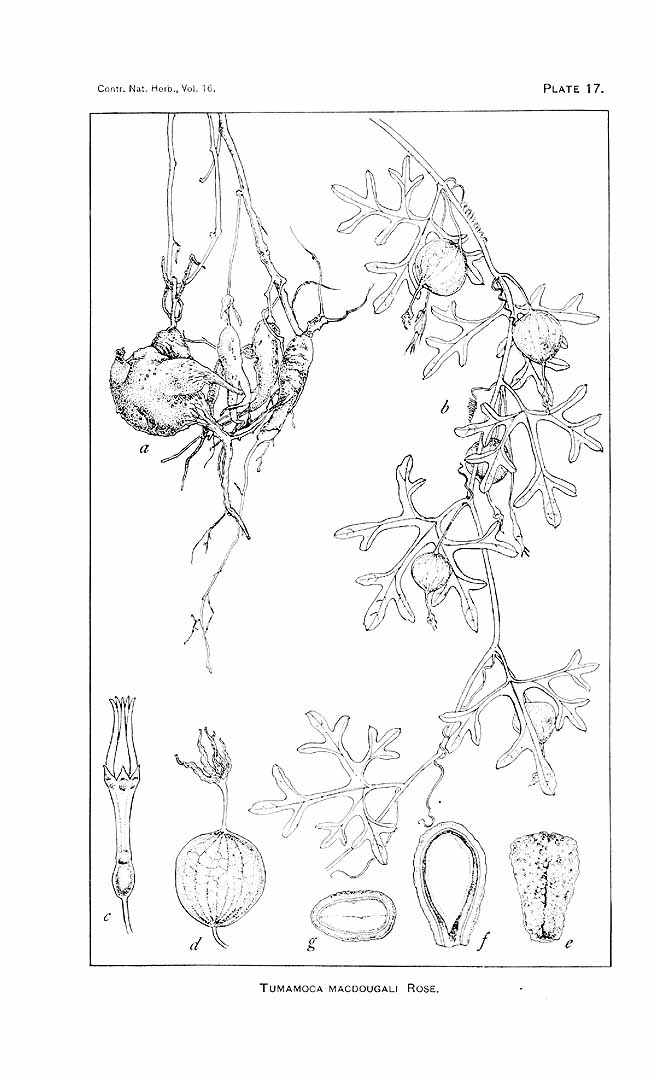 no HD illustration available (m1)