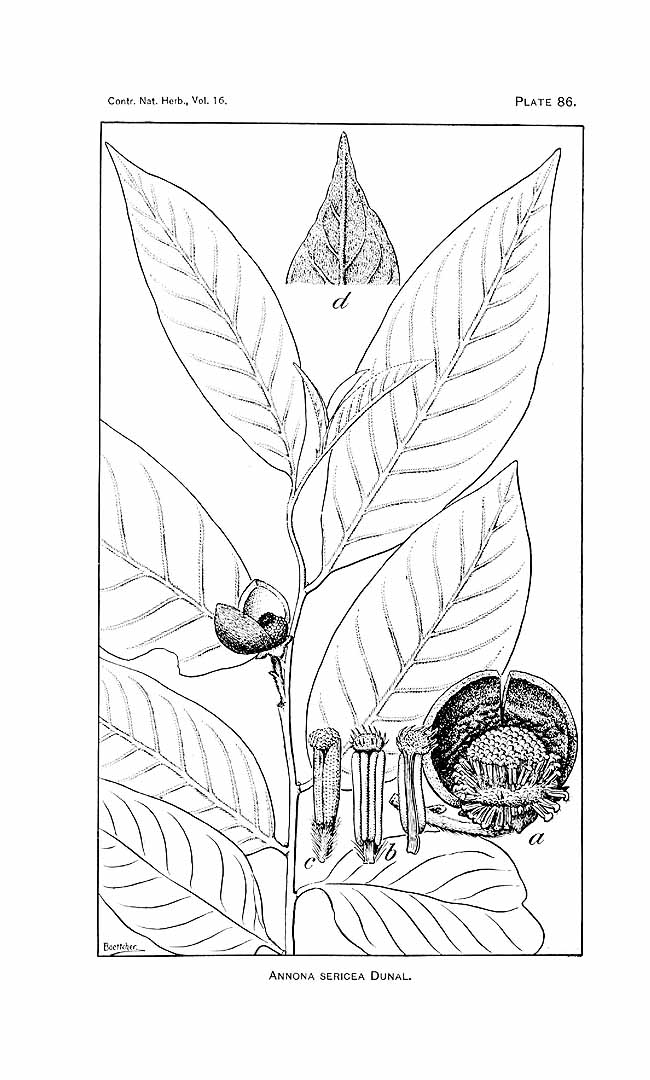 no HD illustration available (3)