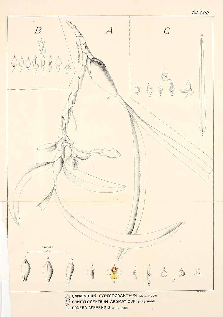 no HD illustration available (3)