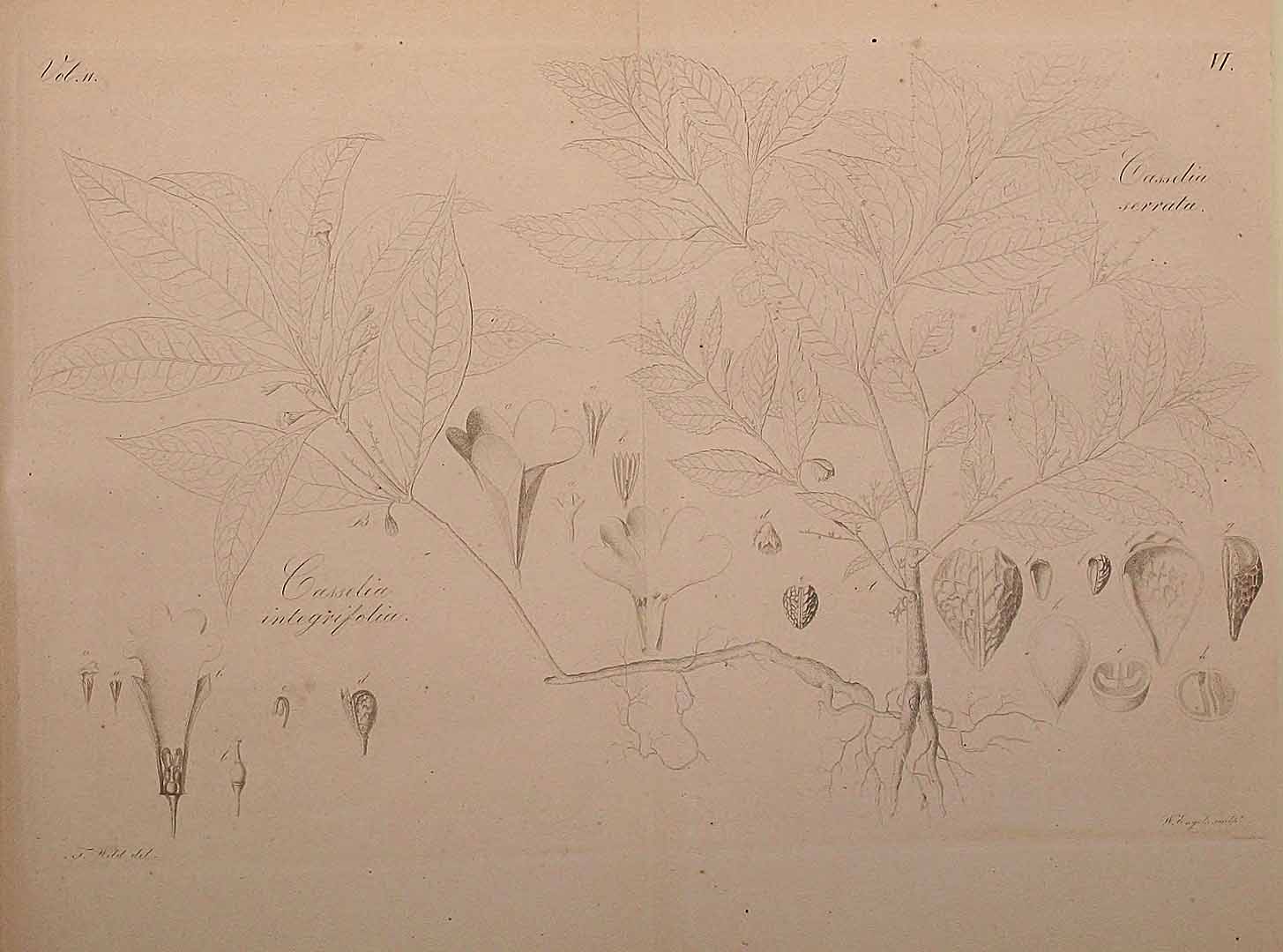 no HD illustration available (3)