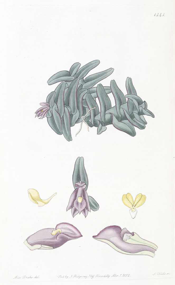 no HD illustration available (m1)