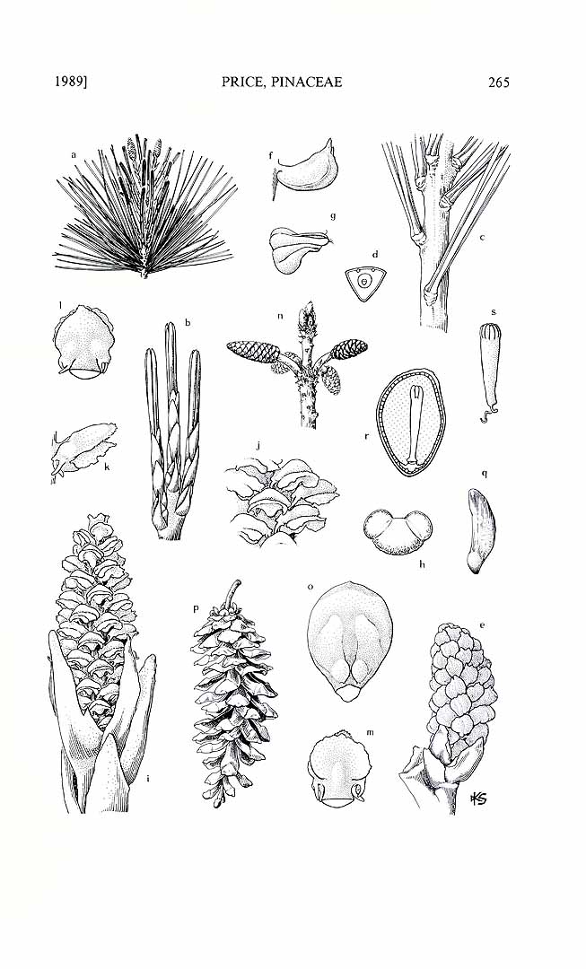 no HD illustration available (3)