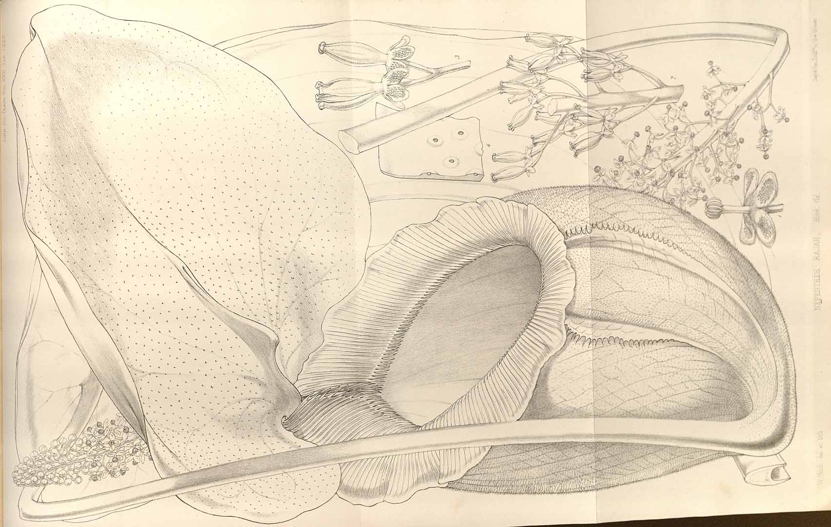 no HD illustration available (3)