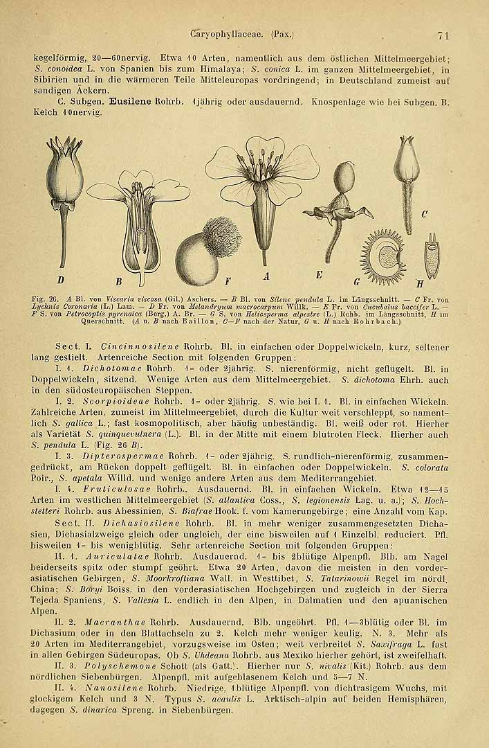 no HD illustration available (3)