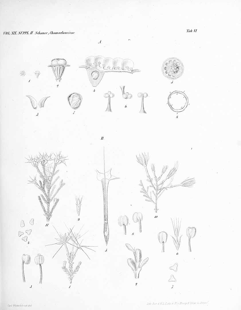 no HD illustration available (3)