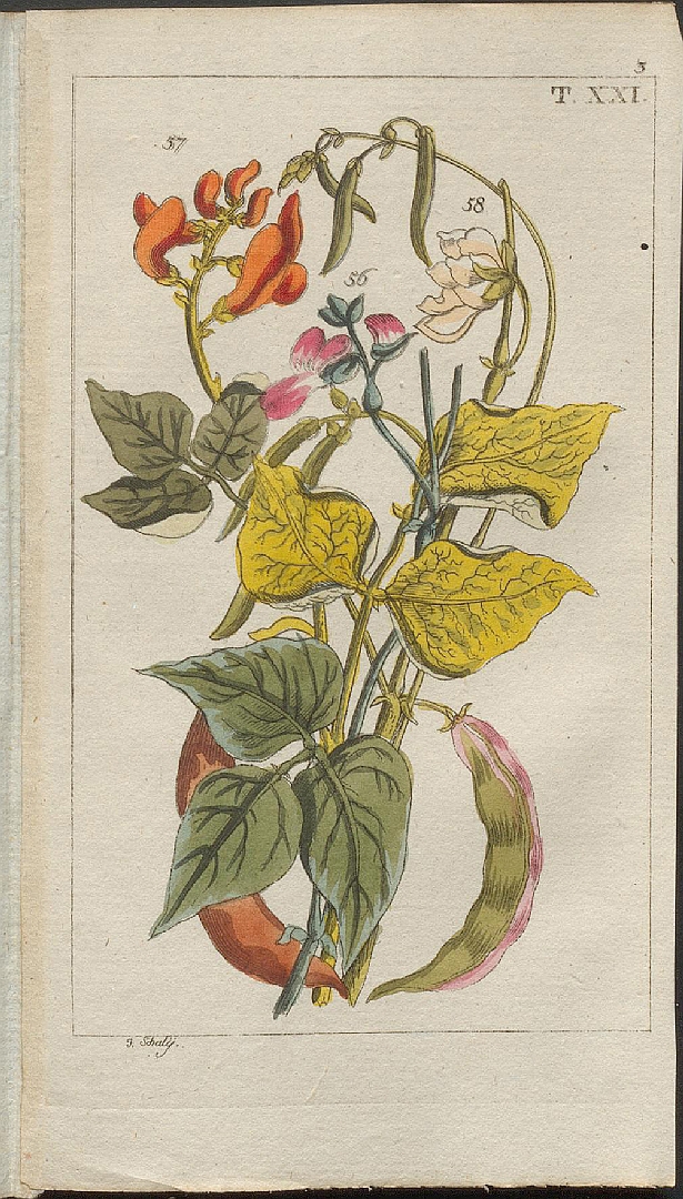 no HD illustration available (3)