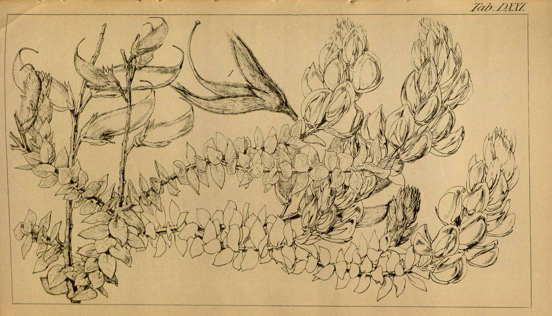 no HD illustration available (3)