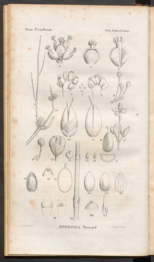 no HD illustration available (3)