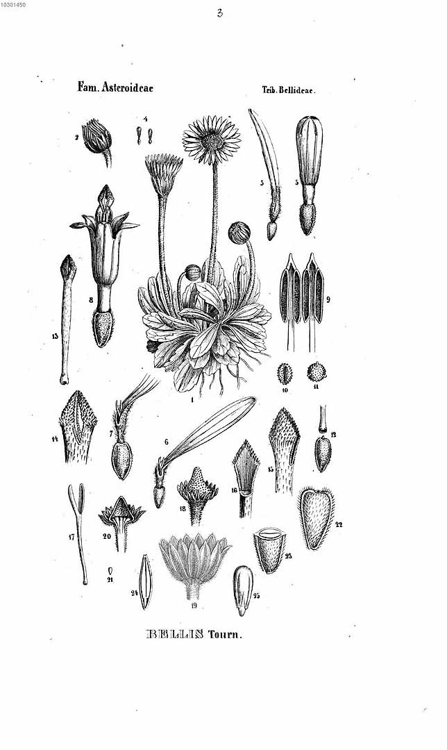 no HD illustration available (3)