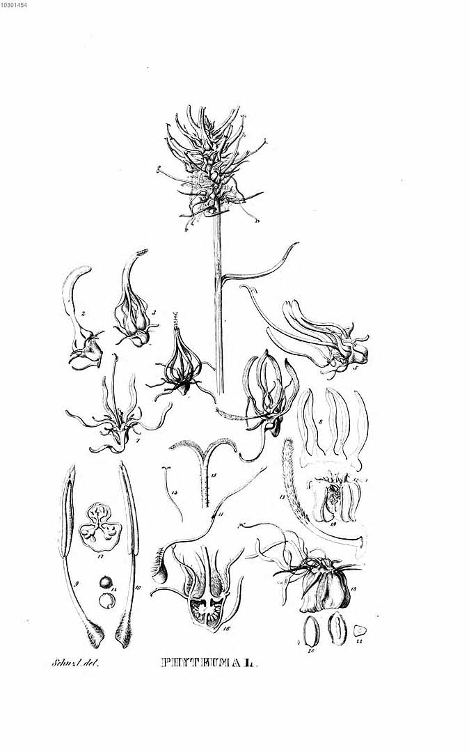 no HD illustration available (3)