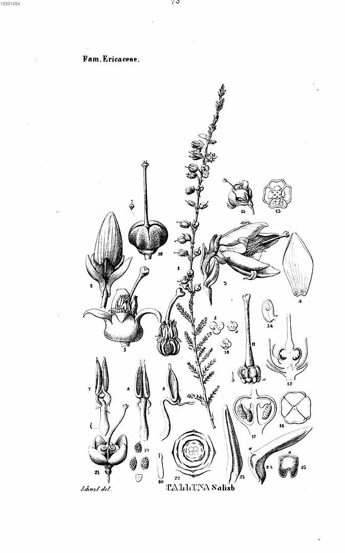 no HD illustration available (3)