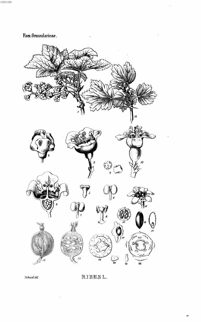 no HD illustration available (3)