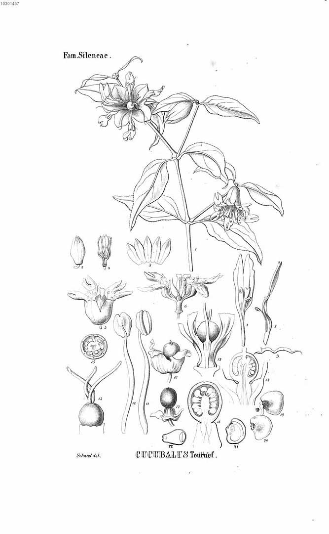 no HD illustration available (3)