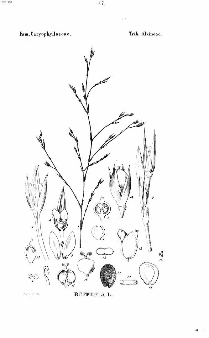 no HD illustration available (3)