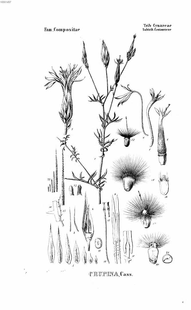 no HD illustration available (3)