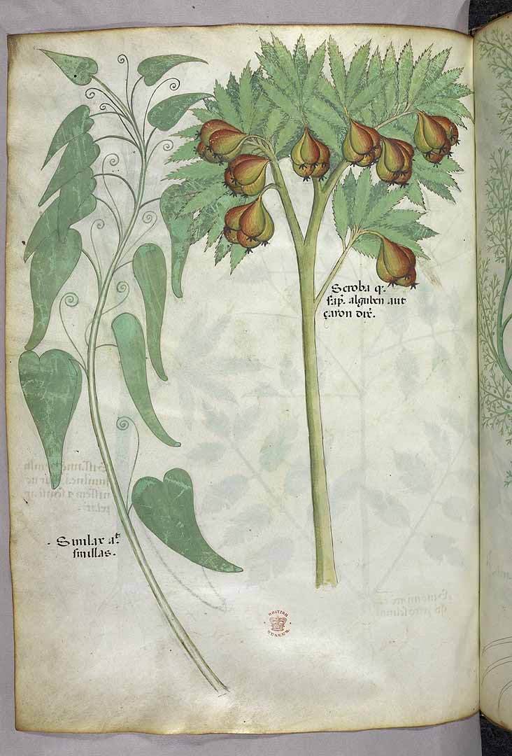 no HD illustration available (3)