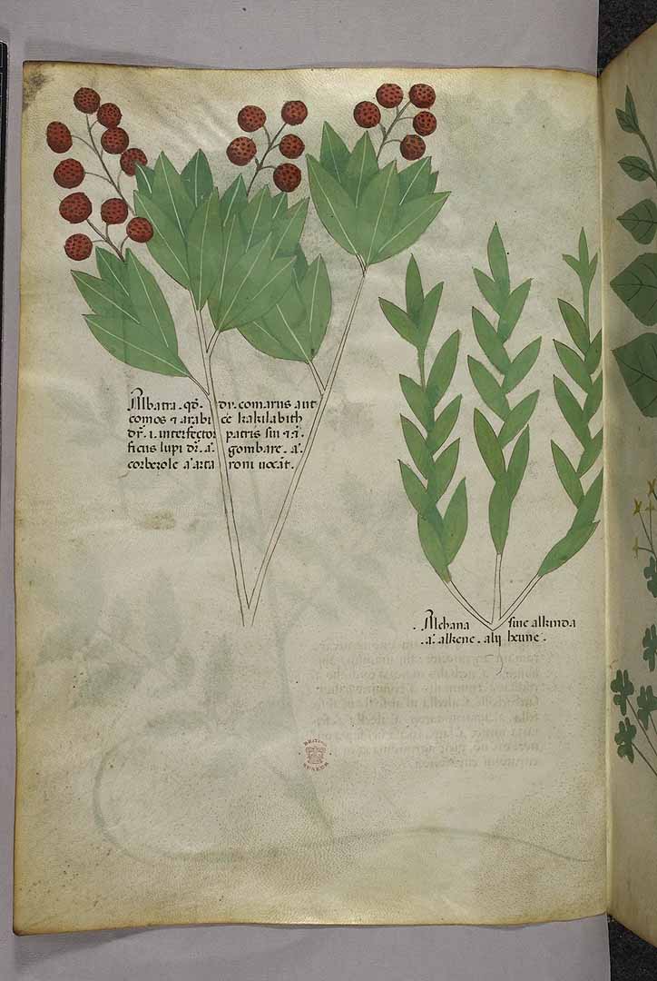no HD illustration available (3)