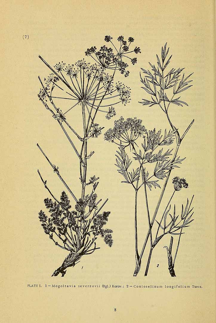 no HD illustration available (3)