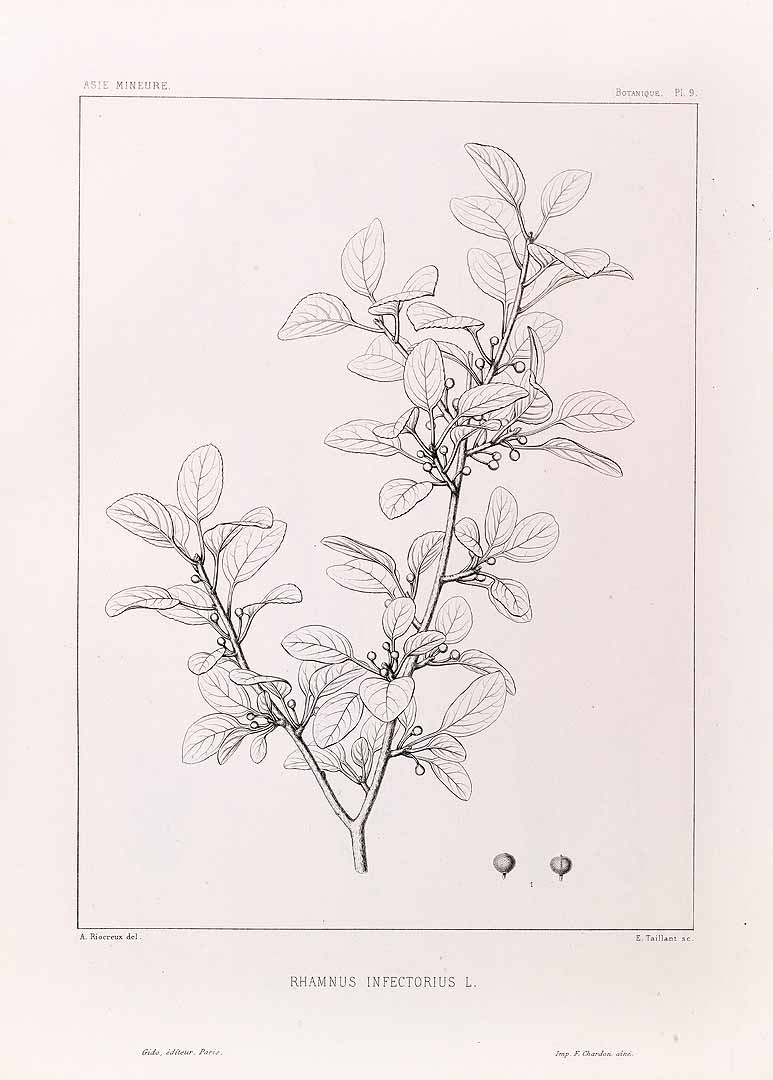 no HD illustration available (3)