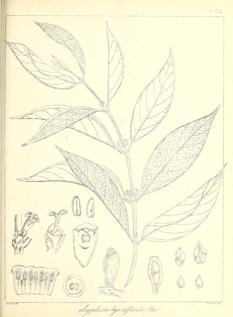 no HD illustration available (m1)