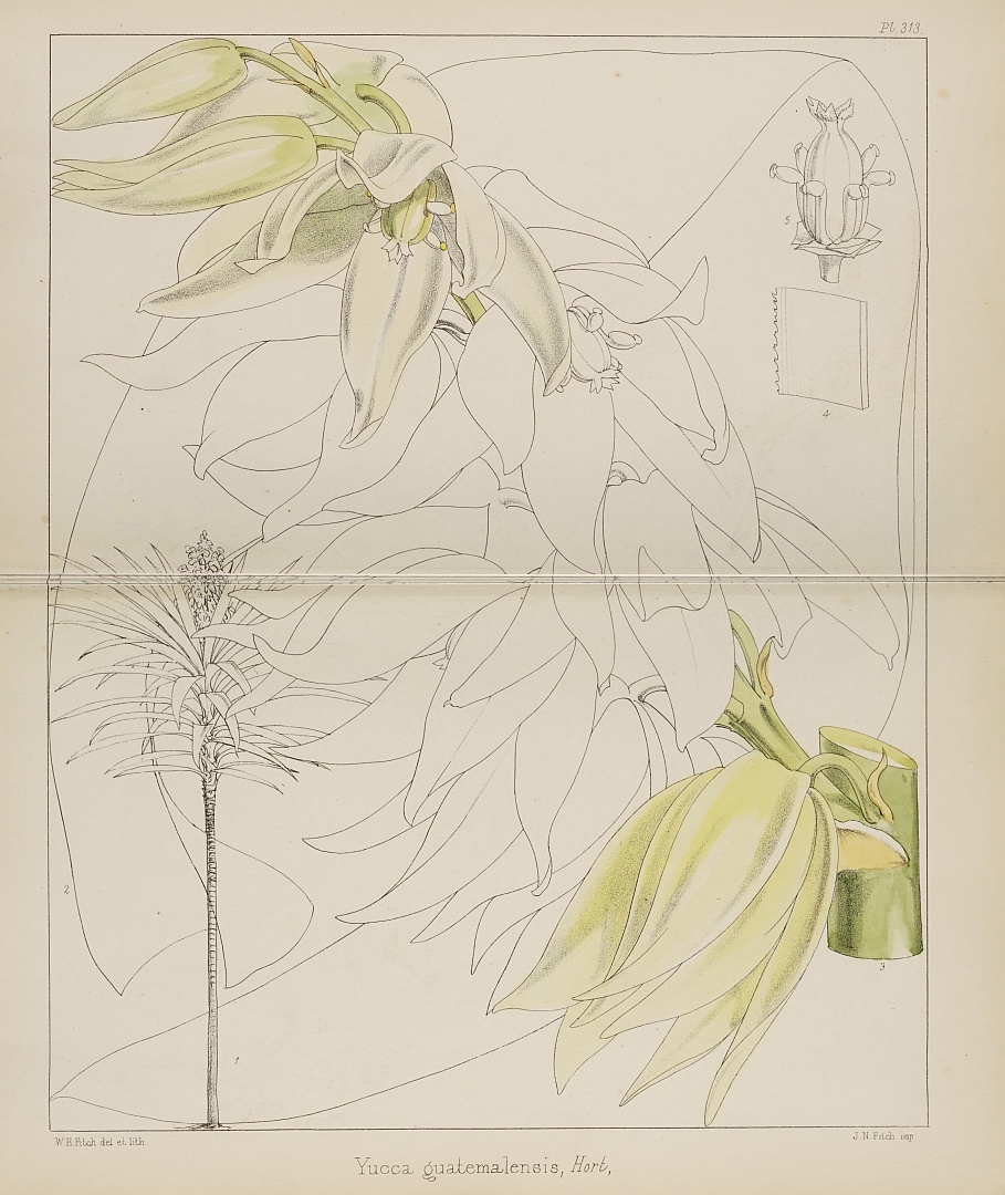 no HD illustration available (3)