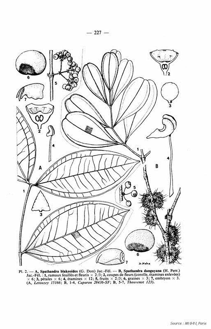 no HD illustration available (3)