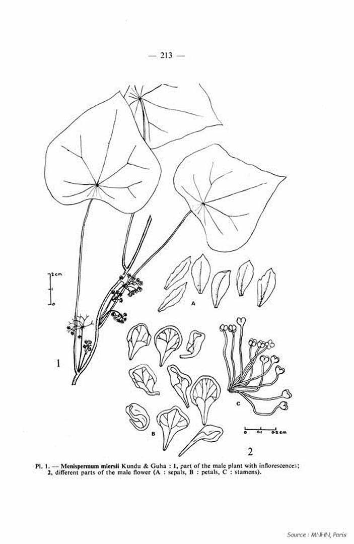 no HD illustration available (3)