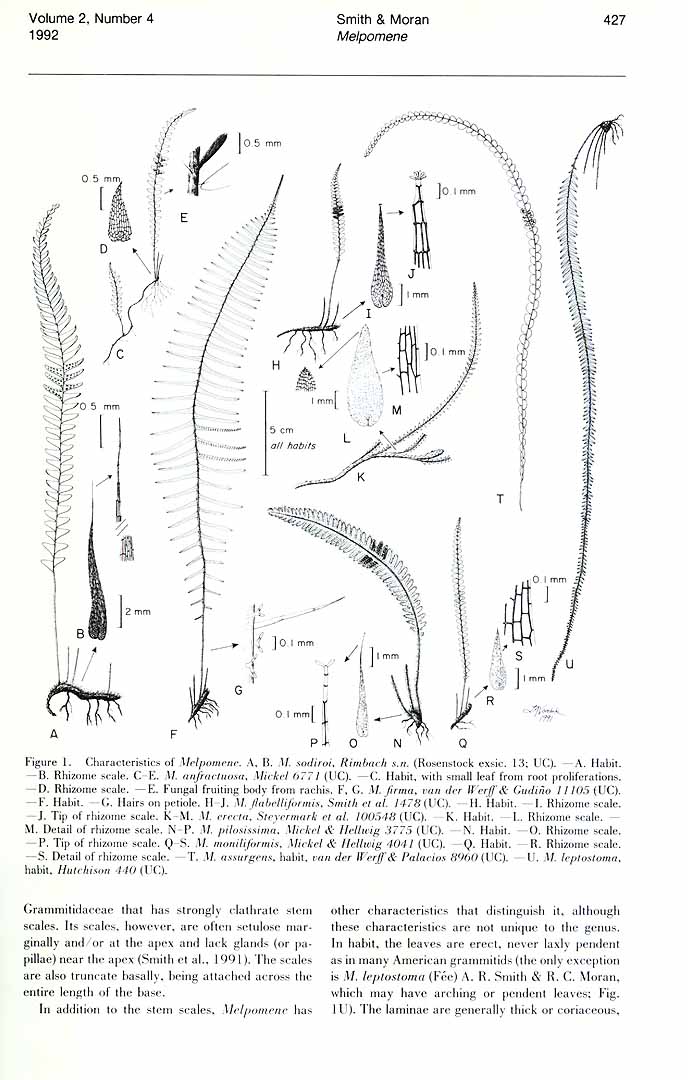 no HD illustration available (3)