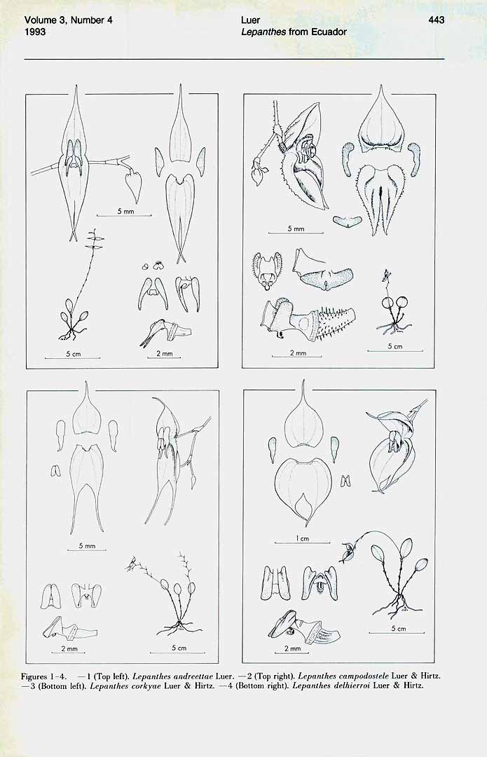 no HD illustration available (m1)