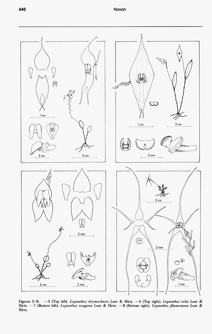 no HD illustration available (m1)