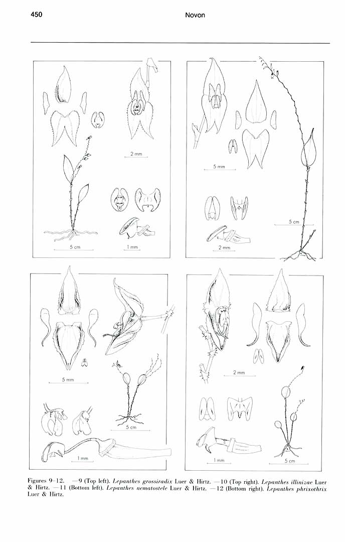 no HD illustration available (m1)