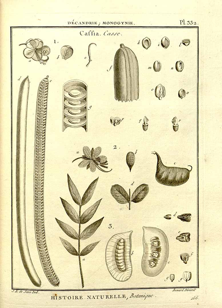 no HD illustration available (3)