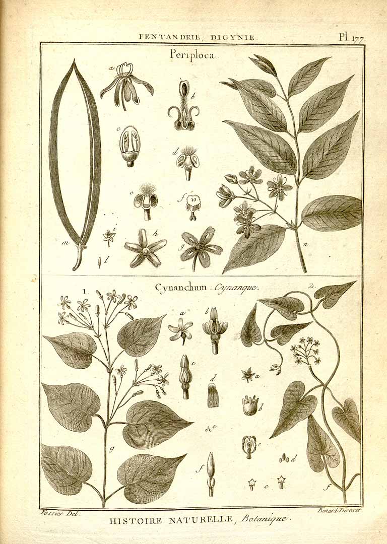 no HD illustration available (3)