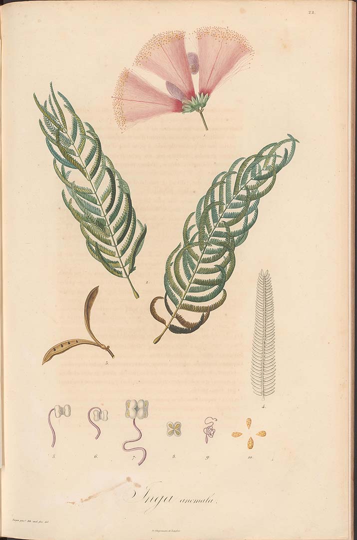 no HD illustration available (3)