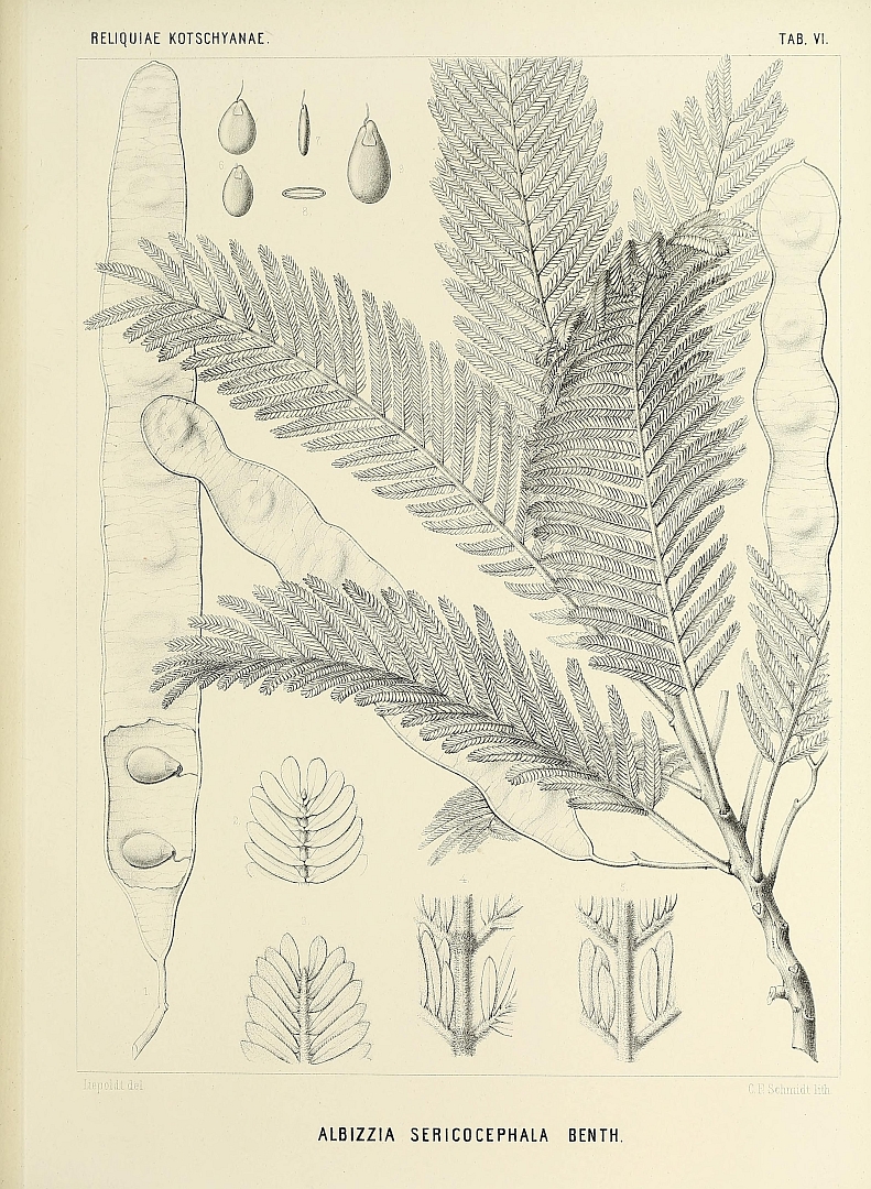 no HD illustration available (3)