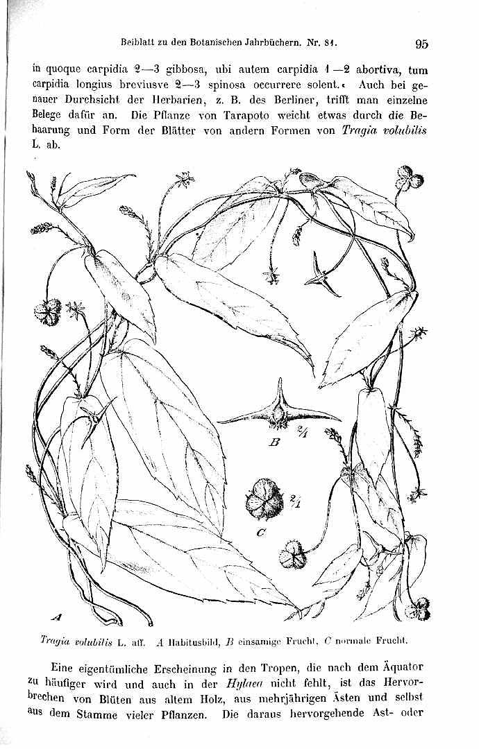 no HD illustration available (3)