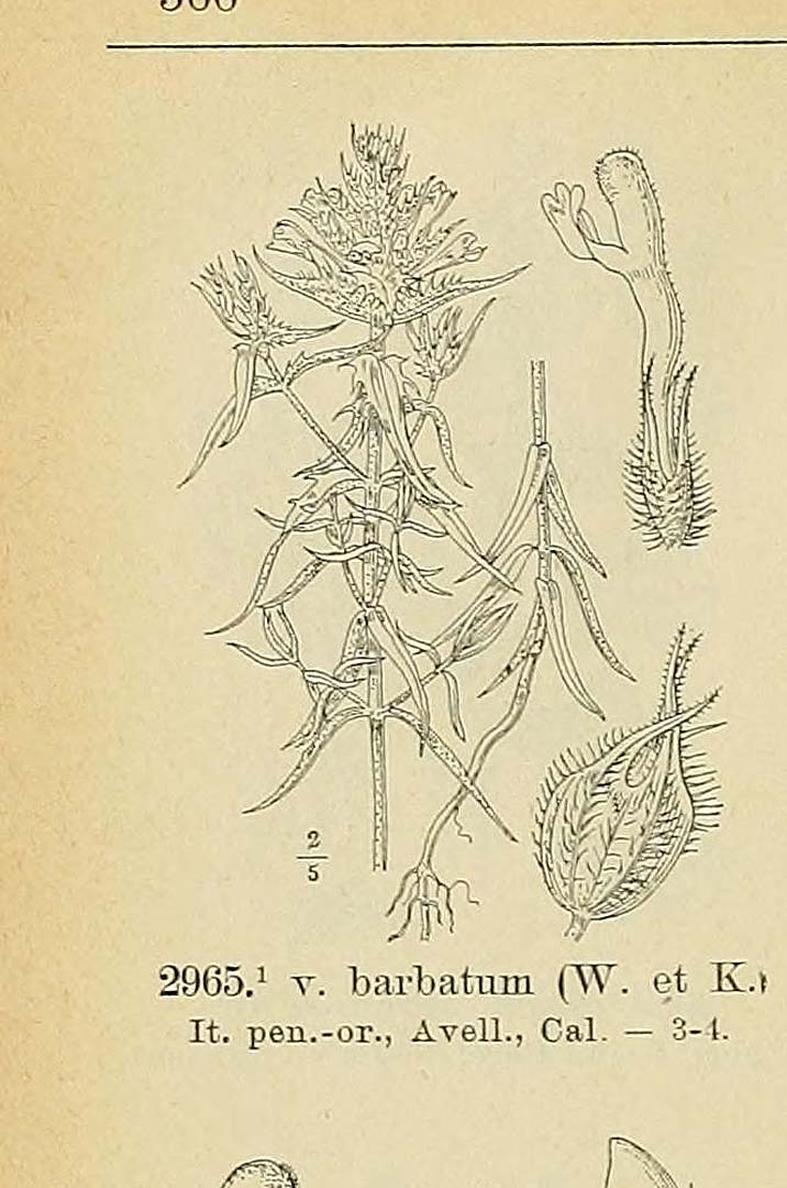 no HD illustration available (3)