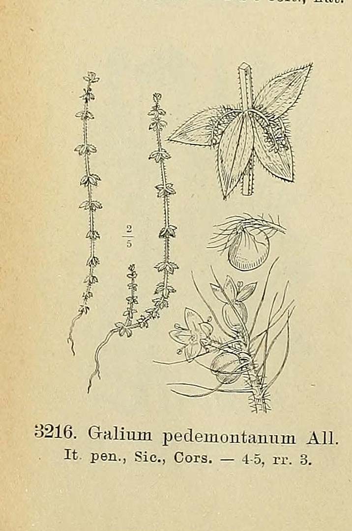 no HD illustration available (m1)