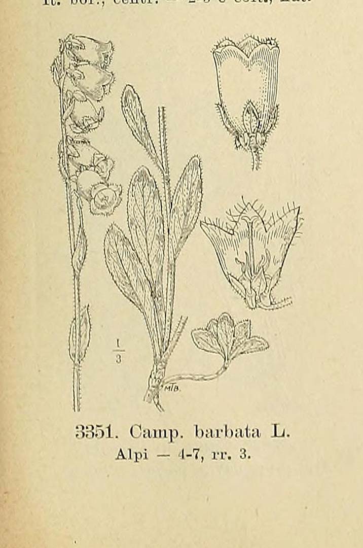 no HD illustration available (3)