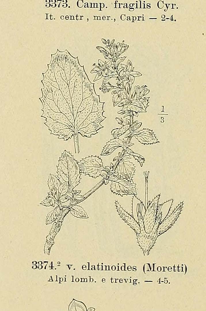 no HD illustration available (m1)