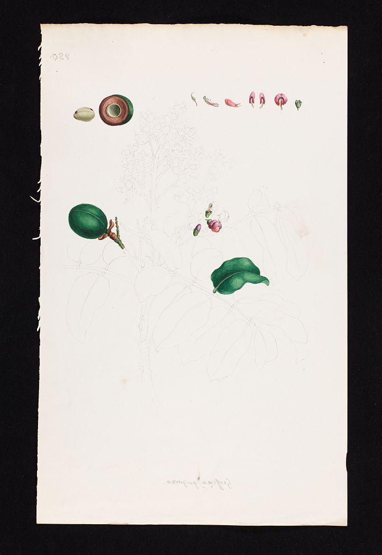 no HD illustration available (3)