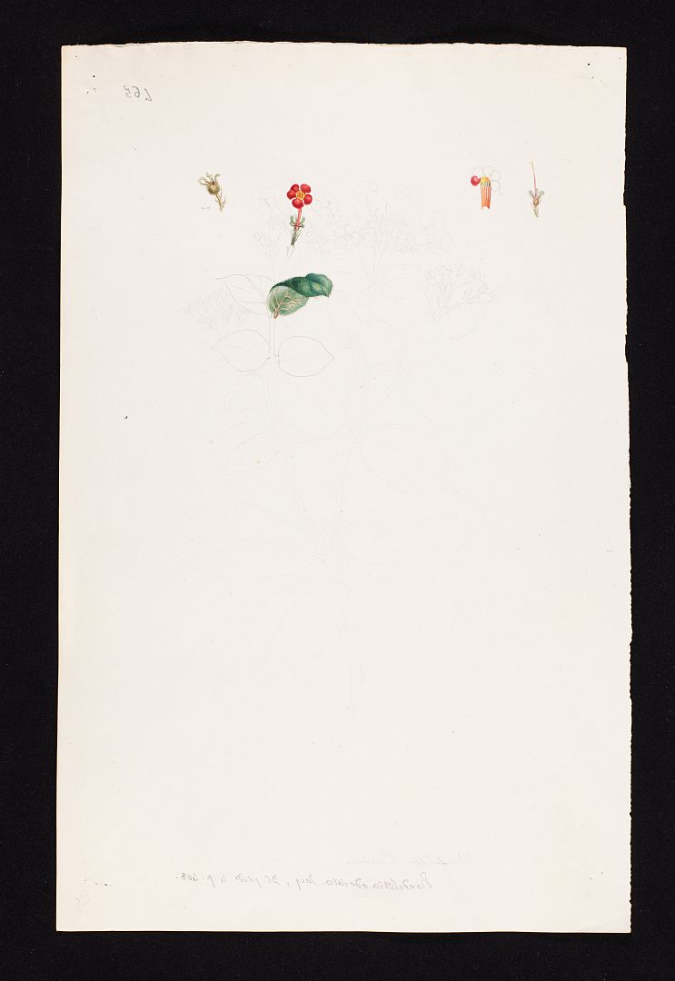 no HD illustration available (3)