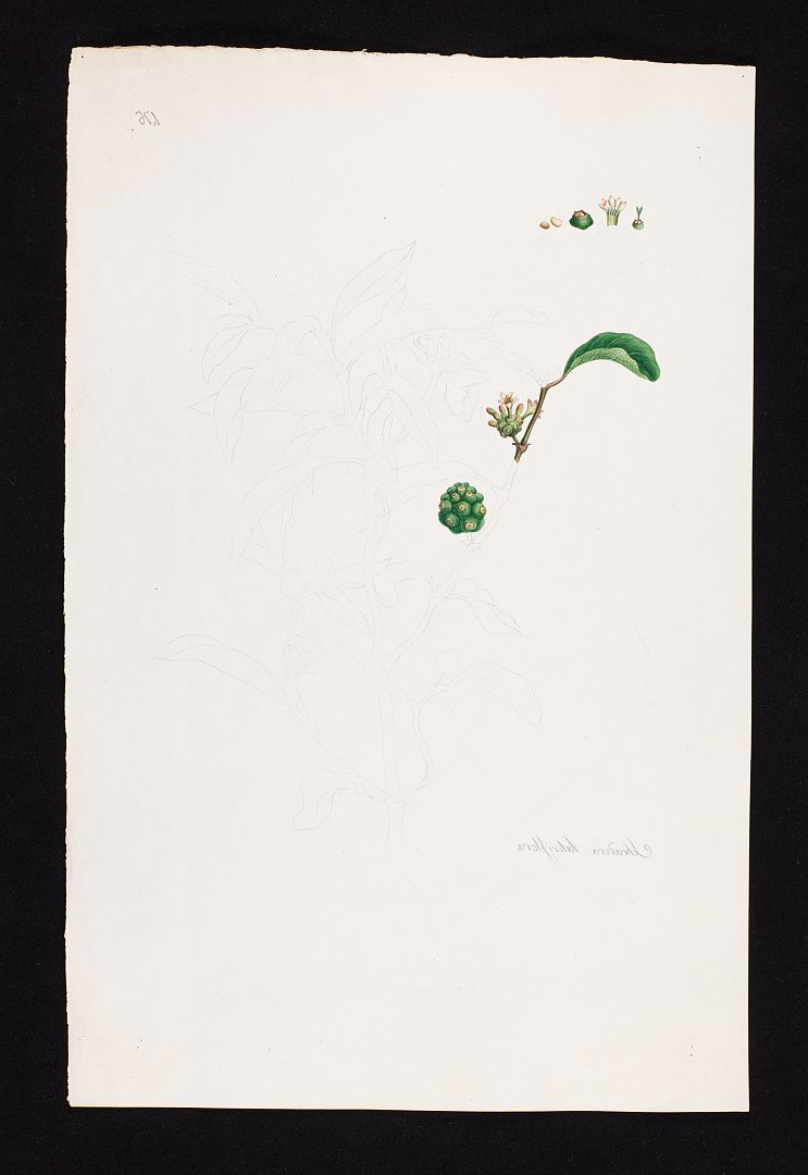 no HD illustration available (3)