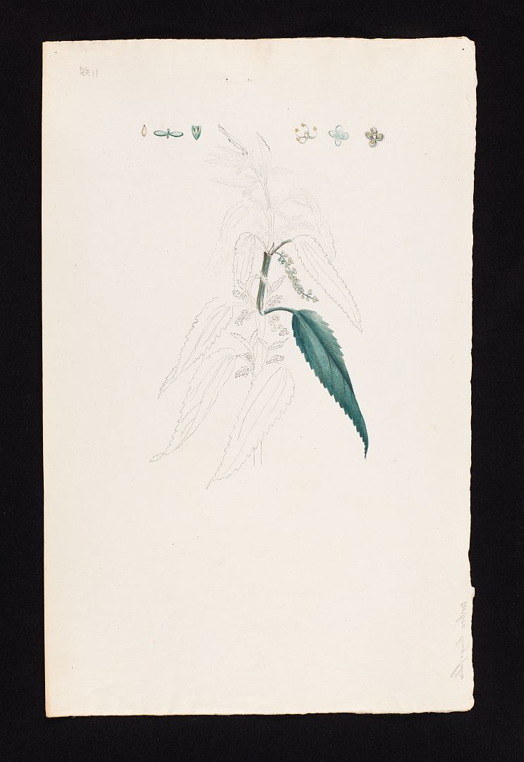 no HD illustration available (m1)