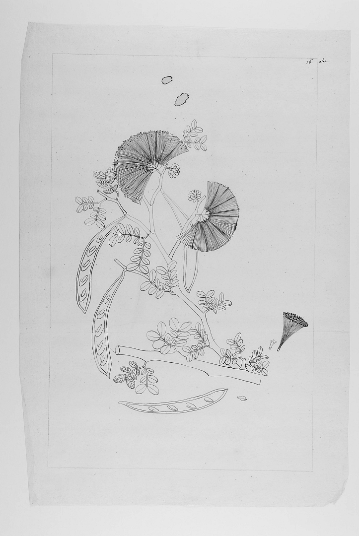 no HD illustration available (3)