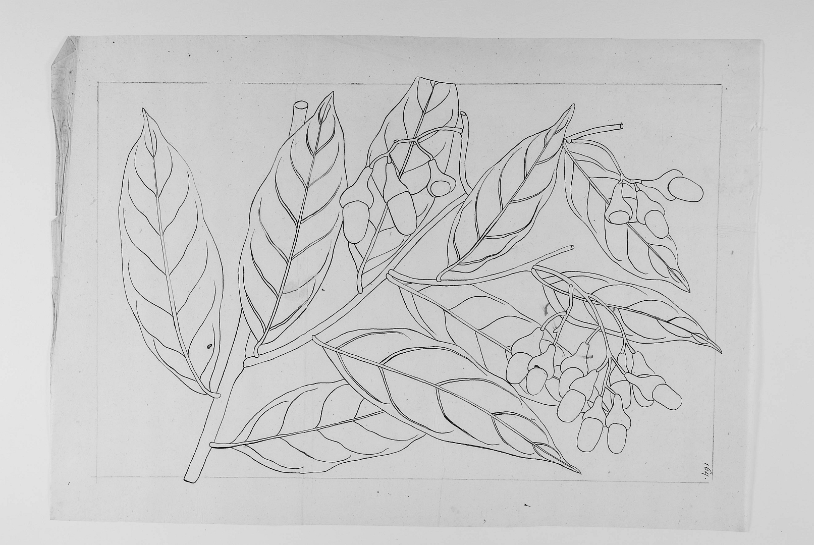 no HD illustration available (3)