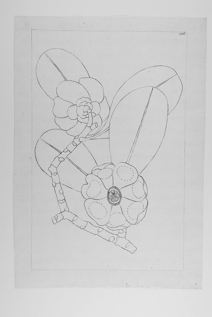no HD illustration available (3)