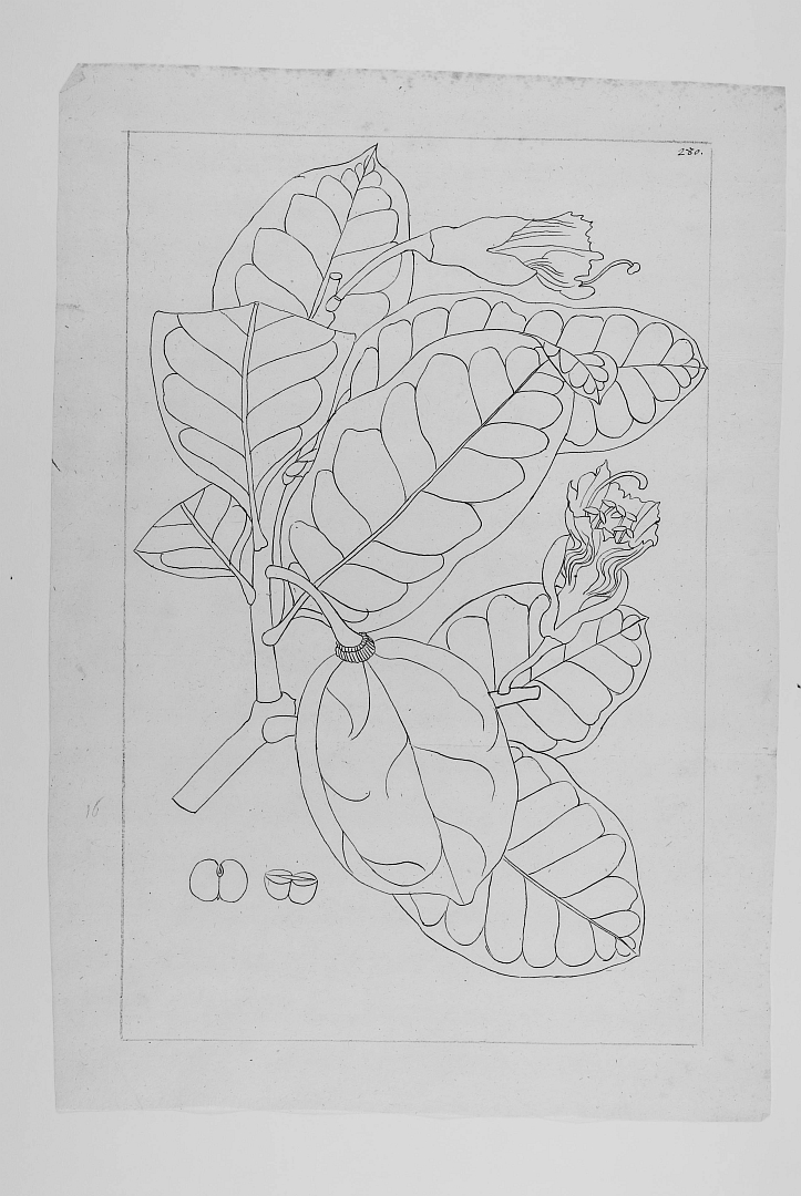 no HD illustration available (3)